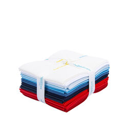 Confetti Cotton Fat Quarter Bundle in Patriotic