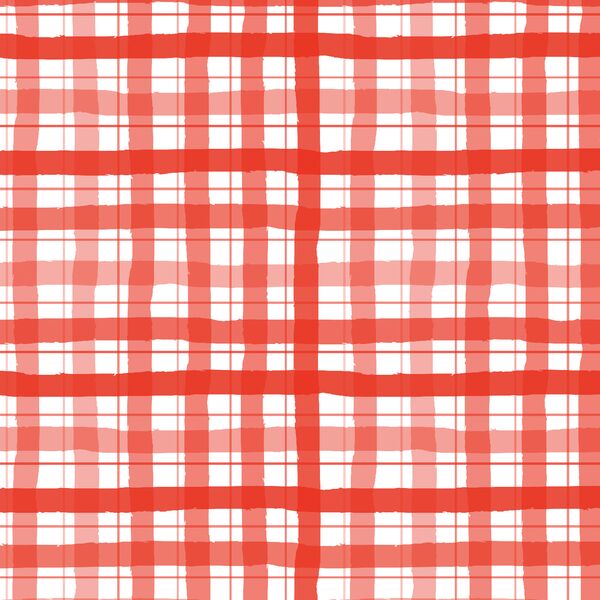 Painted Gingham in Firecracker