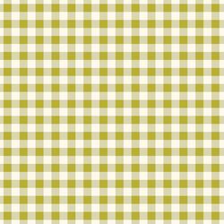 Picnic Blanket in Pear Green