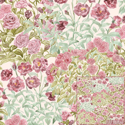 Garden of Love in Beauty
