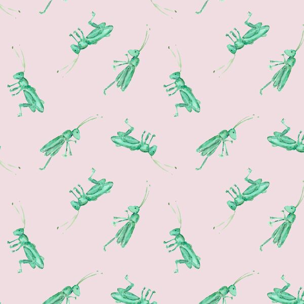 Grasshopper in Rose