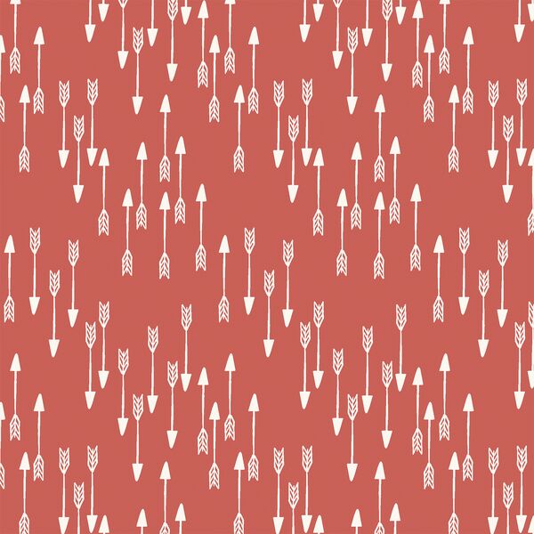 Little Arrows in Spicy