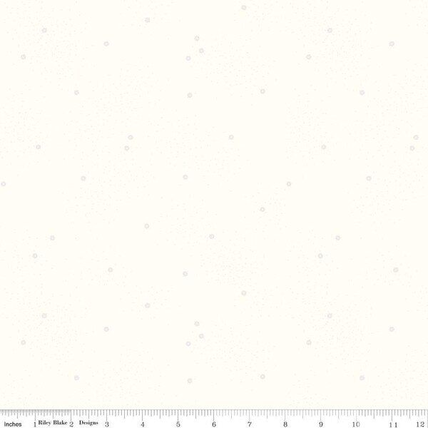 Dainty Daisy in White on Cloud