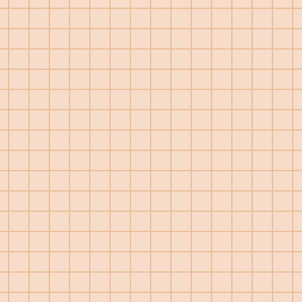 Grid in Dusty Peach on Pink