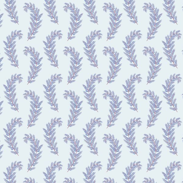 Wild Fern in Sky