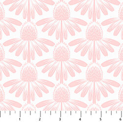 Coneflower in Blush