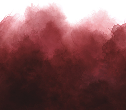 Mystic Ombre in Burgundy