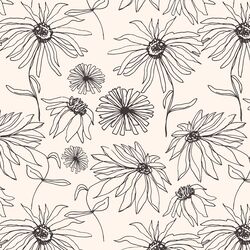 Aster Sketch in Faded Black on Cloud