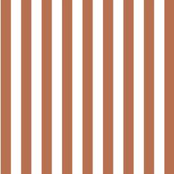 Candy Stripe in Terracotta