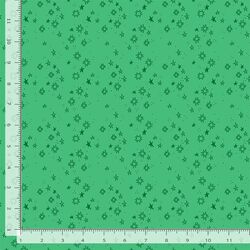 Quiltstellation in Capricorn