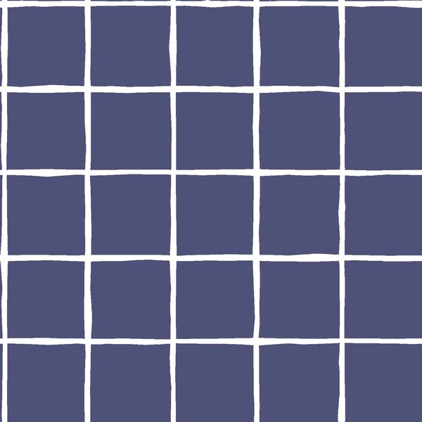 Windowpane in Indigo