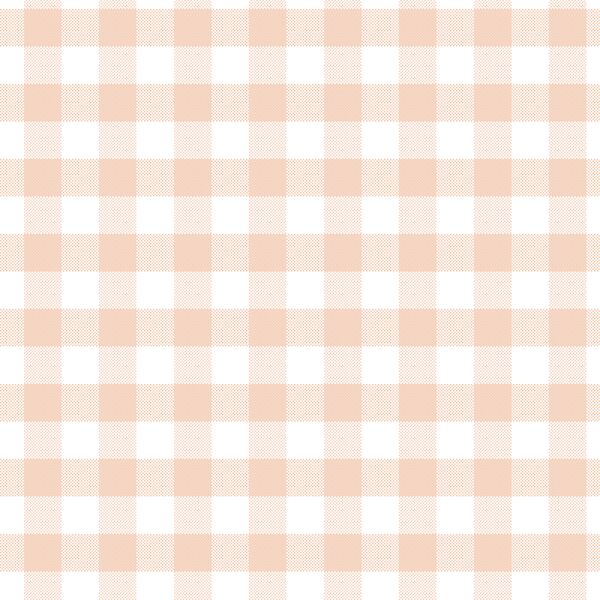 Spring Gingham in Shell