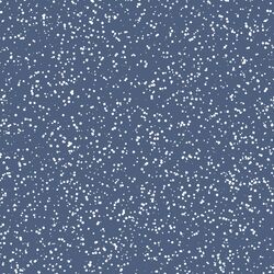Stardust in Midnight