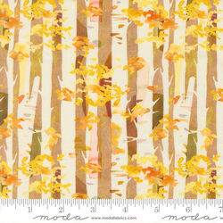 Birch Stripes in Birch