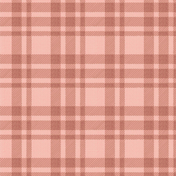 Cabin in Plaid