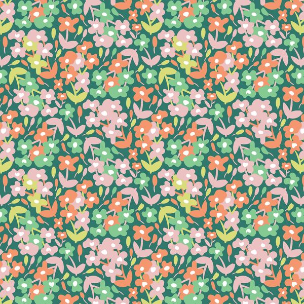 Daisy Field in Green Path