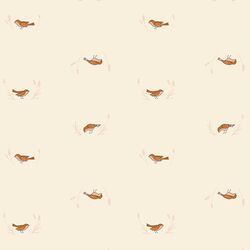 Happy Robin in Cream