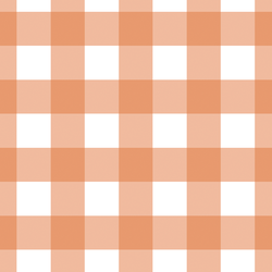 Large Gingham in Papaya