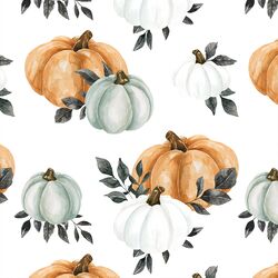 Pumpkins in Orange and White