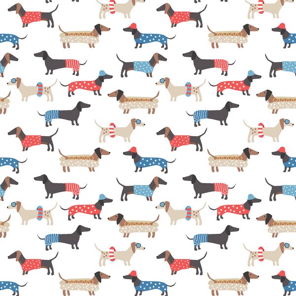 Summer Dachshunds in White