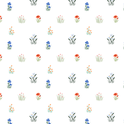 Wildflowers in White