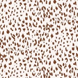 Spotted Leopard in Equinox