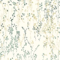 Toadflax in Morning