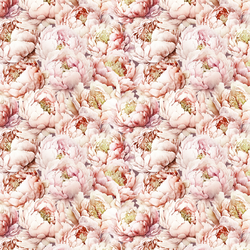 Peony Love in Viola