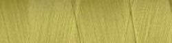 Gold Yellow