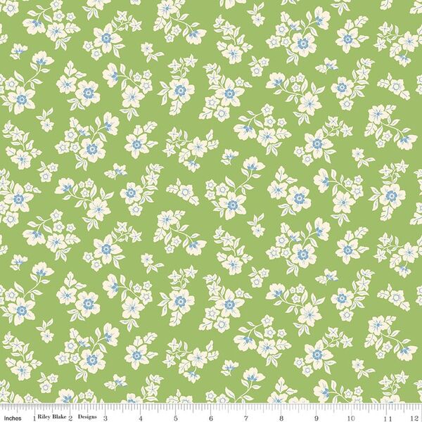 Primrose in Green