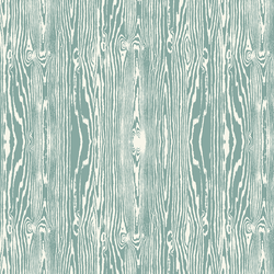 Woodgrain in Blue Haze