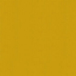 Bella Solids in Zest