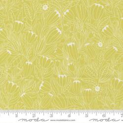 Tulip Lines in Light Green