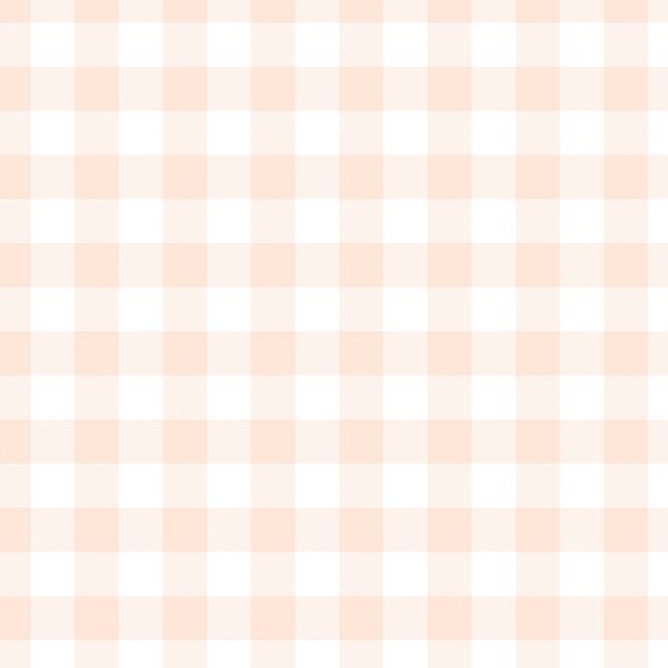 Gingham in Light Pink
