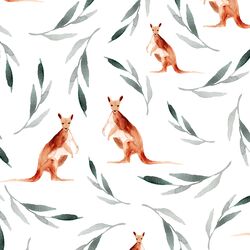 Big Kangaroos in White