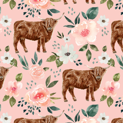 Highland Cow in Pink