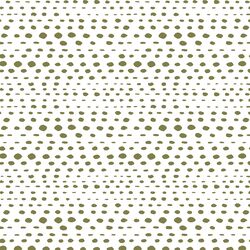 Little Skipping Stones in Jungle on White