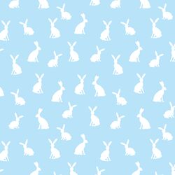 Little Cottontail in Stream