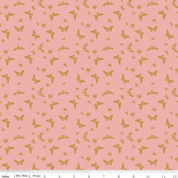 Flutter in Coral