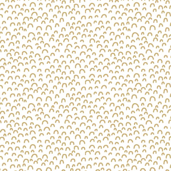 Doodle in Golden Canyon on White