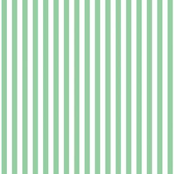 Dress Stripe in Sprout