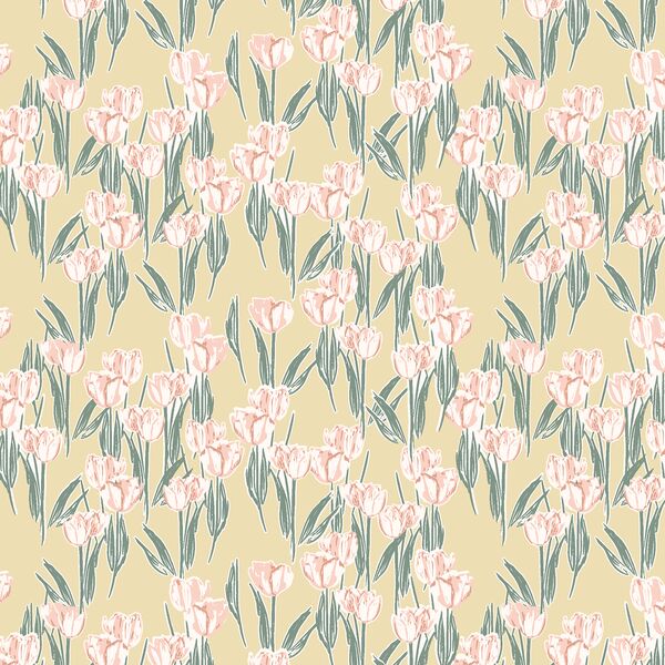 Tulips in Dawn