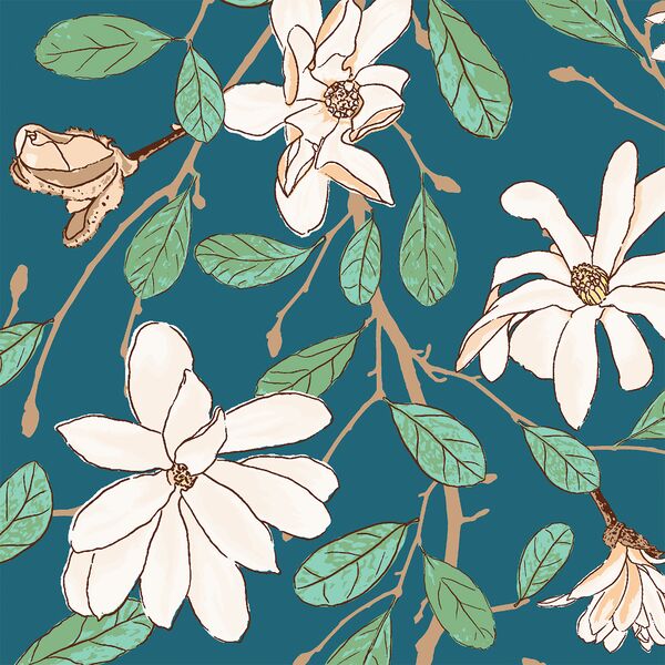 Magnolia Spring in Starling