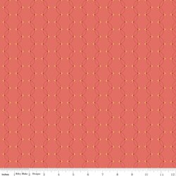 Scallops in Coral