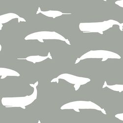 Whale Silhouette in Sage