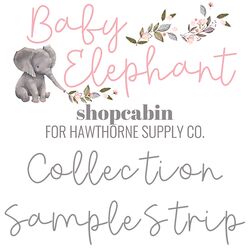 Baby Elephant Sample Strip