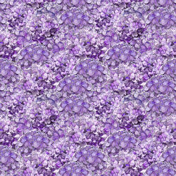 Packed Hydrangeas in Purple