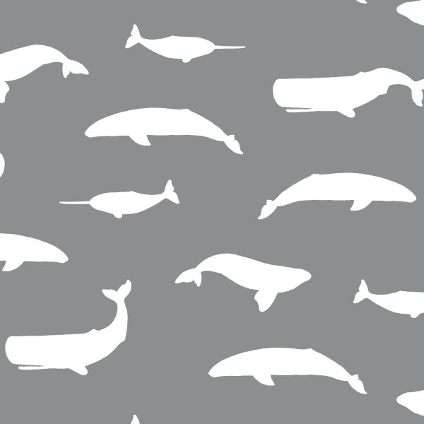 Whale Silhouette in Smoke