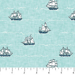 Ships in Mint