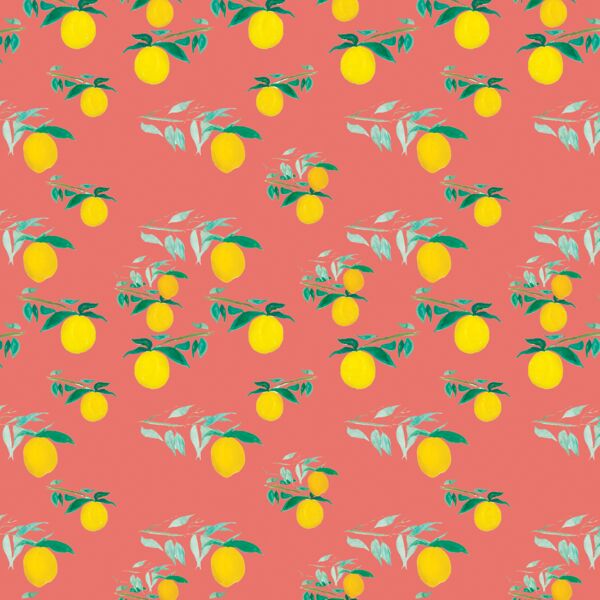 Citrus Grove in Coral